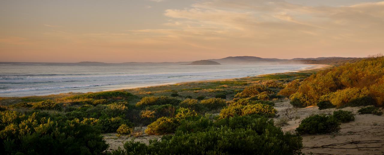 Wairo Beach Holiday Park Tabourie Lake Esterno foto